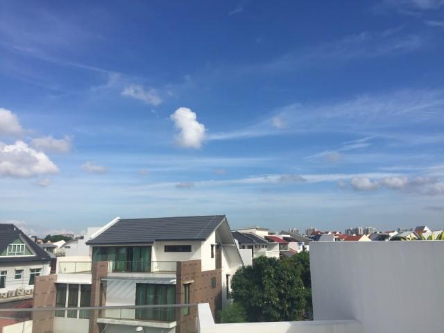 Serangoon Garden Estate (D19), Semi-Detached #121851242
